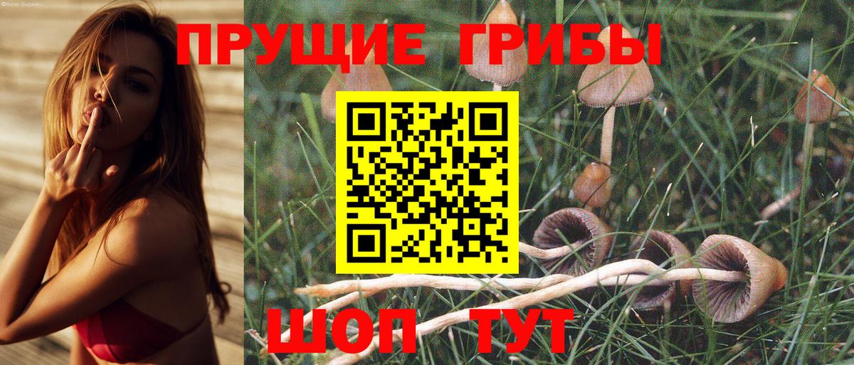 Галлюциногенные грибы мухоморы  Вход с VPN  Галлюциногенные грибы Magic Shrooms  Томск 