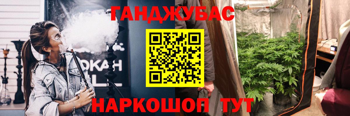 Канабис OG Kush Томск
